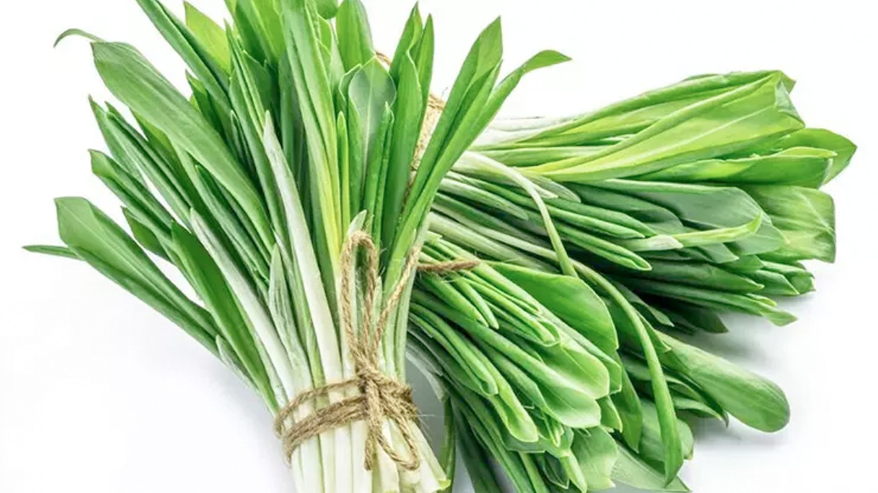 Foto - Çiriş otu tezgahlardaki yerini aldı: Kilosu 40 TL: Bağırsakları fokur fokur çalıştırıyor 