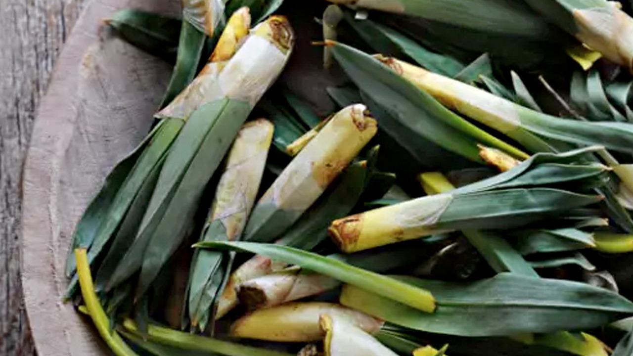 Foto - Çiriş otu tezgahlardaki yerini aldı: Kilosu 40 TL: Bağırsakları fokur fokur çalıştırıyor 