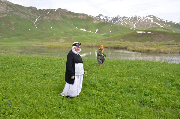 Foto - Doğada kendiliğinden yetişiyor! Kilosunu 100 TL'den satılıyor kapış kapış gidiyor