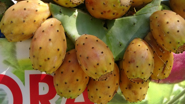 Doğada kendiliğinden yetişiyor! Tanesi 10 TL