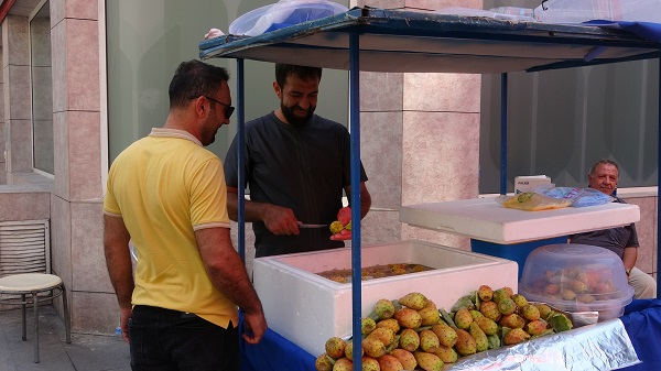 Foto - Doğada kendiliğinden yetişiyor! Tanesi 10 TL