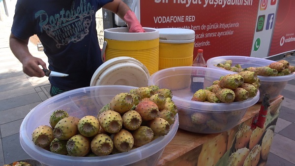 Foto - Doğada kendiliğinden yetişiyor! Tanesi 10 TL