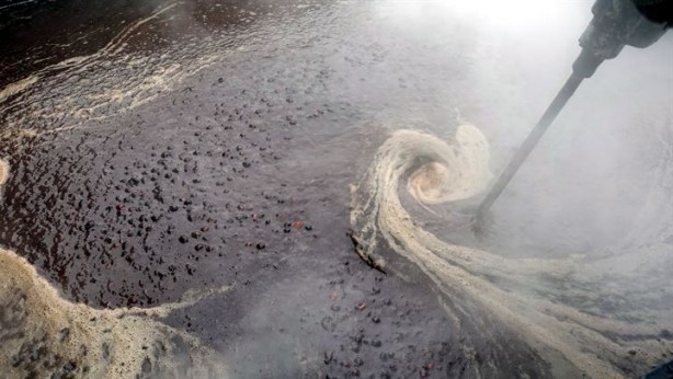 Foto - Doğada kendiliğinden yetişiyor, yağının kilosu 70 liradan satılıyor