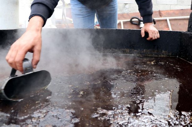 Foto - Doğada kendiliğinden yetişiyor, yağının kilosu 70 liradan satılıyor
