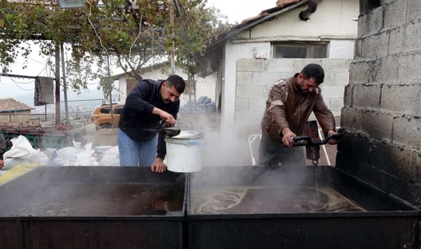Foto - Doğada kendiliğinden yetişiyor, yağının kilosu 70 liradan satılıyor