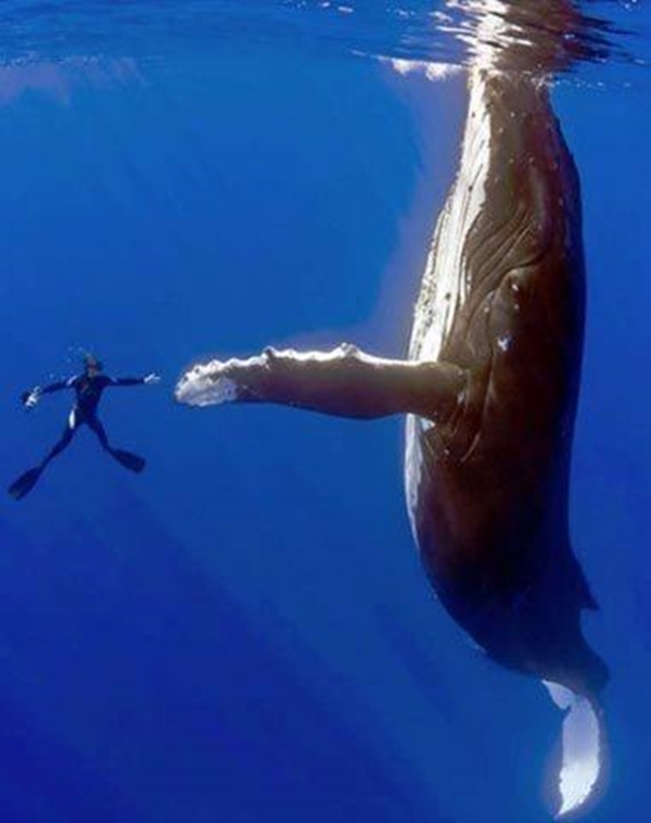 Foto - Doğadan inanılmaz kareler