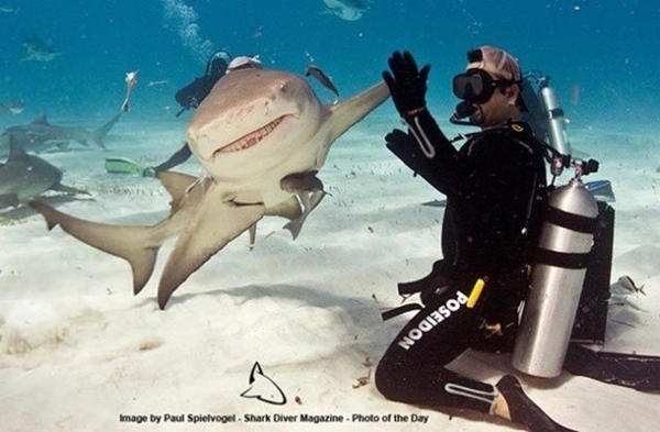 Foto - Doğadan inanılmaz kareler