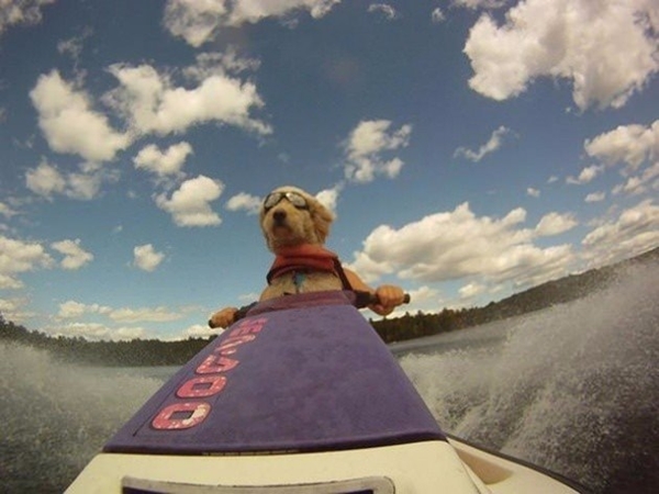 Foto - Doğadan inanılmaz kareler