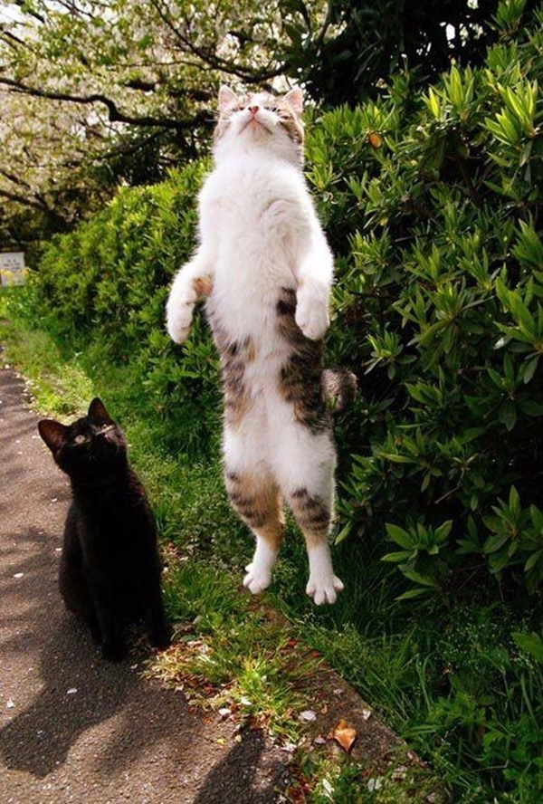 Foto - Doğadan inanılmaz kareler