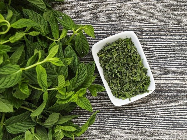 Foto - Doğal ağrı kesici ve antibiyotik etkisi olan 4 şifalı bitki