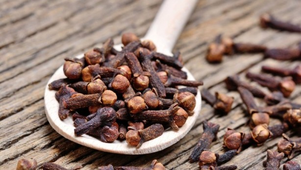 Foto - Doğal ağrı kesici ve antibiyotik etkisi olan 4 şifalı bitki