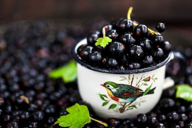 Foto - Doğal antibiyotik görevi gören ve enfeksiyonları önleyen 15 besin