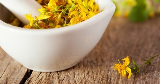 Foto - Doğal antidepresan sarı kantaronun faydaları saymakla bitmiyor