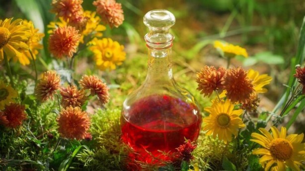 Foto - Doğal antidepresan sarı kantaronun faydaları saymakla bitmiyor