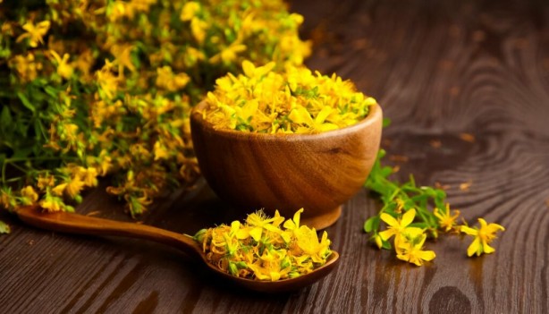Foto - Doğal antidepresan sarı kantaronun faydaları saymakla bitmiyor