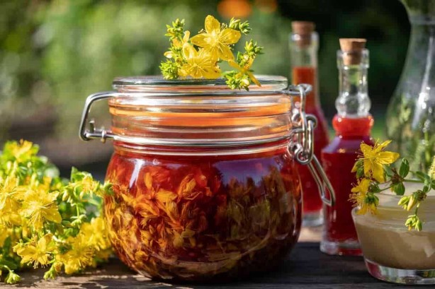 Foto - Doğal antidepresan sarı kantaronun faydaları saymakla bitmiyor