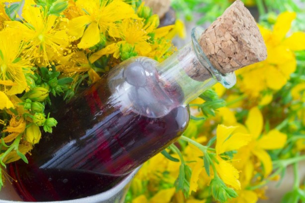 Foto - Doğal antidepresan sarı kantaronun faydaları saymakla bitmiyor