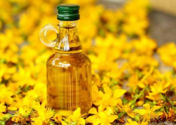 Foto - Doğal antidepresan sarı kantaronun faydaları saymakla bitmiyor