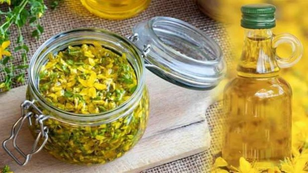 Foto - Doğal antidepresan sarı kantaronun faydaları saymakla bitmiyor