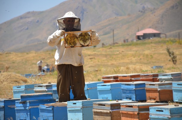 Foto - Doğal bal üreticileri tedirgin