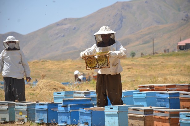 Foto - Doğal bal üreticileri tedirgin