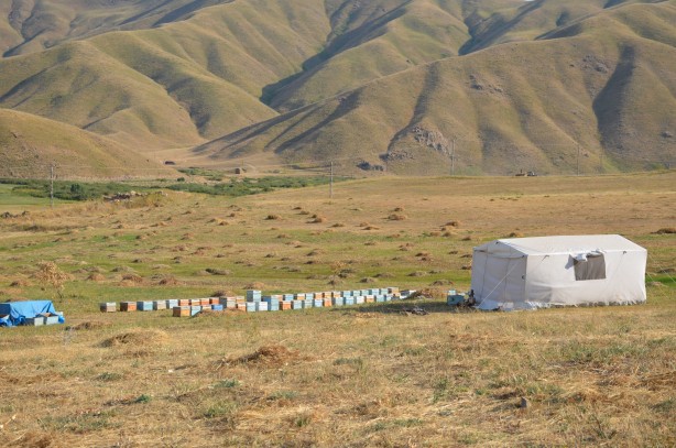 Doğal bal üreticileri tedirgin