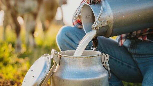 Foto - Doğal diye tüketiliyor ancak mikrop yuvası! 'Pastörize edilmezse zehirliyor'