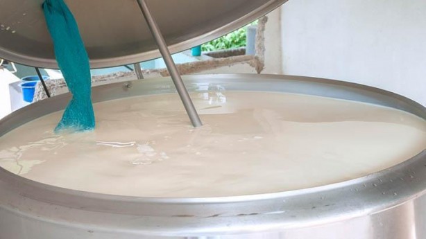 Foto - Doğal diye tüketiliyor ancak mikrop yuvası! 'Pastörize edilmezse zehirliyor'