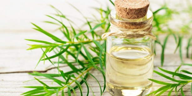 Foto - Doğal güzelliğin sırları! Güzellik tarifleri, doğal cilt ve saç bakımı maskeleri