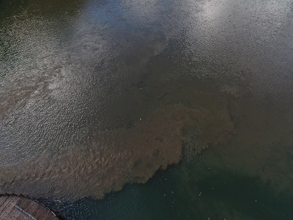 Foto - Doğal güzellik kaybolacak.... Uzungöl'ü bekleyen korkunç son