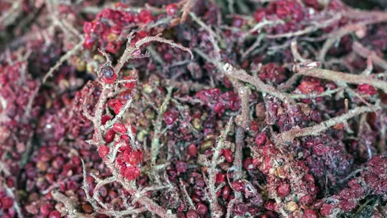 Foto - Doğal insülin bulundu! 7 gün boyunca suyunu içerseniz: İçine sirke ve bal koyarak iyice kaynatın! 