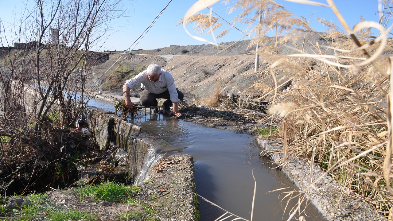 Foto - Doğal lezzetin sırrı! Su değirmeninde susamdan tahine yolculuk