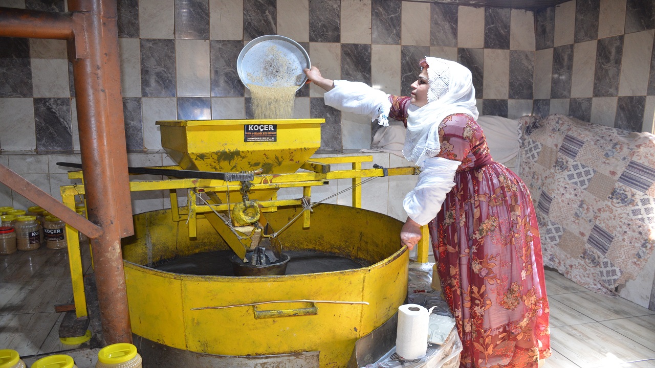 Doğal lezzetin sırrı! Su değirmeninde susamdan tahine yolculuk