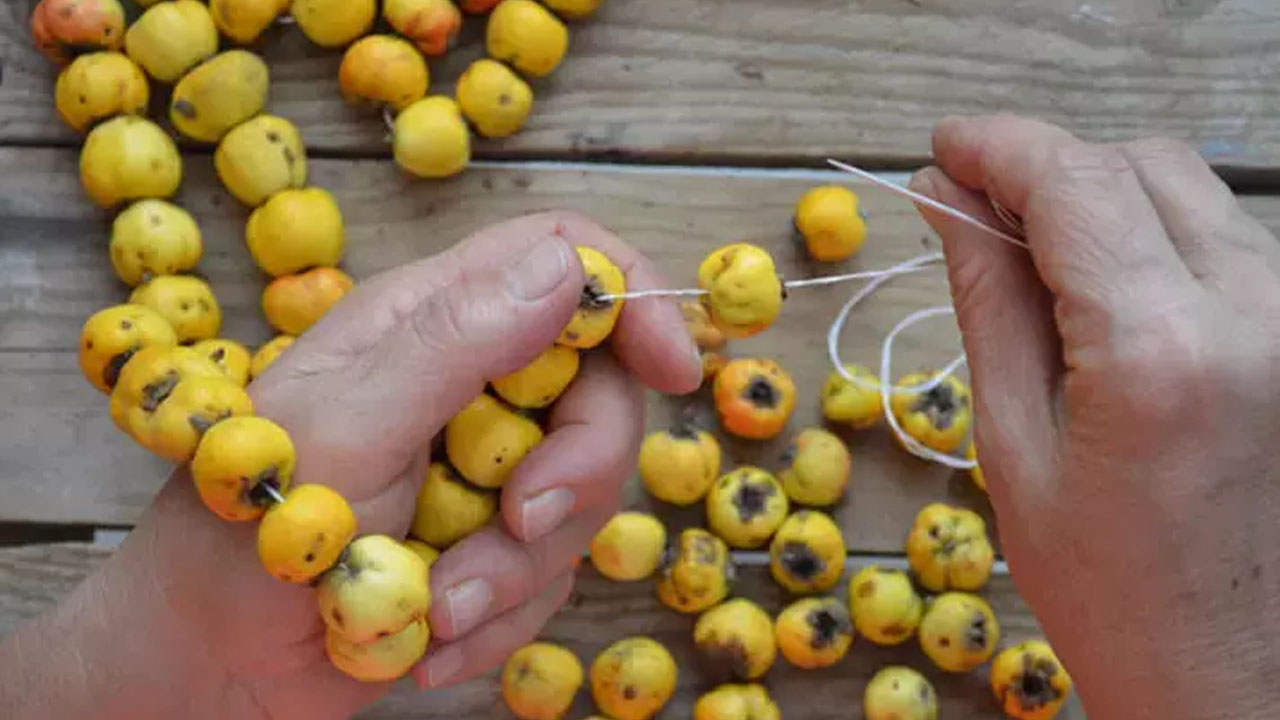 Foto - Doğal mide ilacı olarak da biliniyor! Sirkesini yapın kaşık kaşık tüketin: Bağırsakları fokur fokur çalıştırıyor, bağışıklığı çelik gibi yapıyor