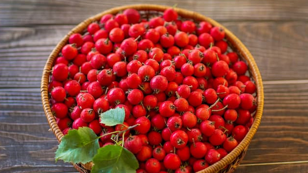 Foto - Doğal mide ilacı olarak da biliniyor! Sirkesini yapın kaşık kaşık tüketin: Bağırsakları fokur fokur çalıştırıyor, bağışıklığı çelik gibi yapıyor