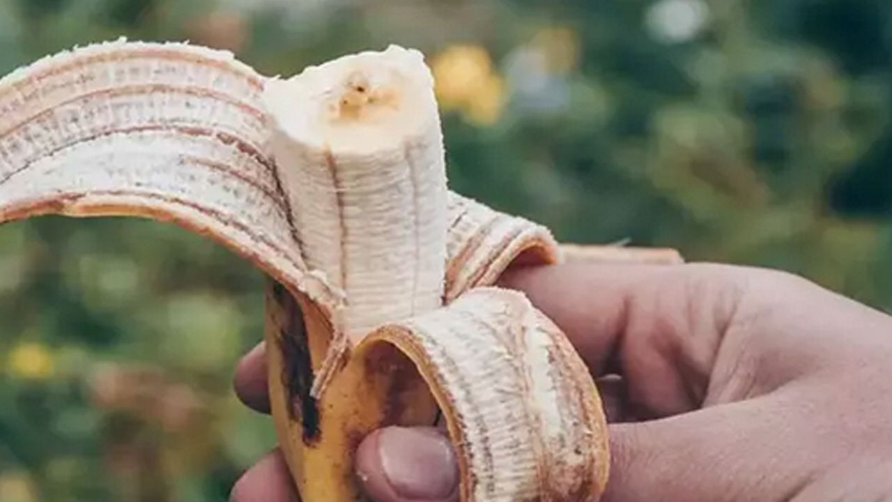 Doğal mide koruyucu! Kaşıkla ezip tahine ekleyin: Kalsiyum ve magnezyum ambarı, kemikleri taş yapıyor!