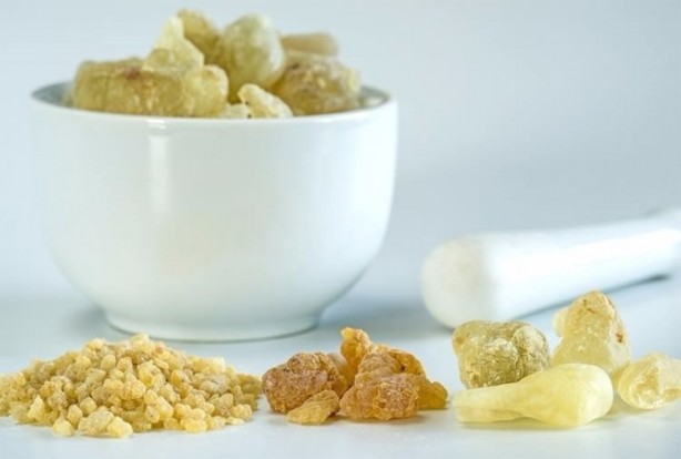 Foto - Doğal şifa kaynağı, aklınıza gelebilecek her hastalığı o söküp atıyor! Gayretiniz varsa akgünlük bitkisi müthiş 