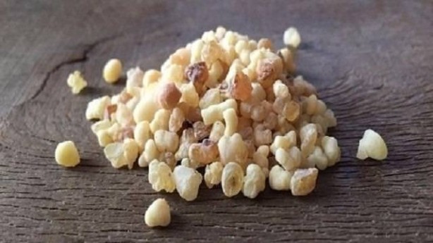 Foto - Doğal şifa kaynağı, aklınıza gelebilecek her hastalığı o söküp atıyor! Gayretiniz varsa akgünlük bitkisi müthiş 