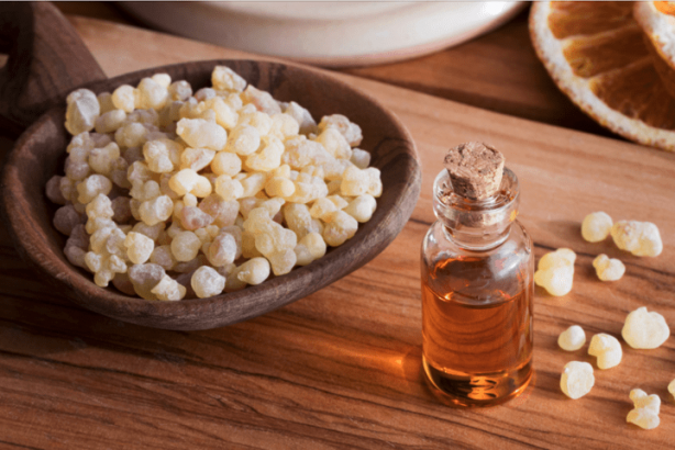 Foto - Doğal şifa kaynağı, aklınıza gelebilecek her hastalığı o söküp atıyor! Gayretiniz varsa akgünlük bitkisi müthiş 