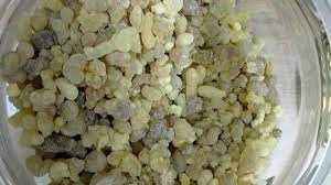 Foto - Doğal şifa kaynağı, aklınıza gelebilecek her hastalığı o söküp atıyor! Gayretiniz varsa akgünlük bitkisi müthiş 