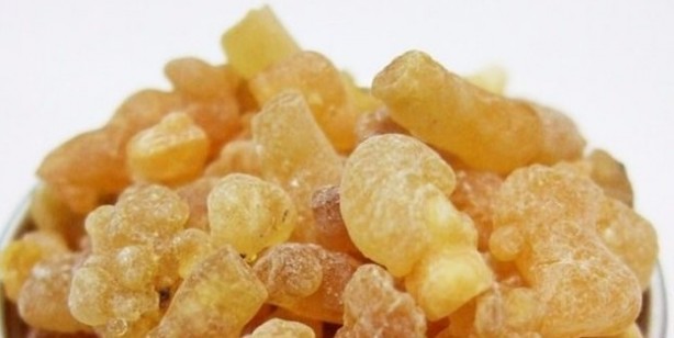 Doğal şifa kaynağı, aklınıza gelebilecek her hastalığı o söküp atıyor! Gayretiniz varsa akgünlük bitkisi müthiş 