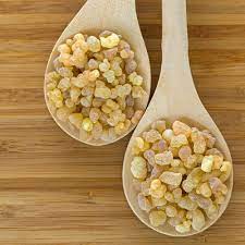 Foto - Doğal şifa kaynağı, aklınıza gelebilecek her hastalığı o söküp atıyor! Gayretiniz varsa akgünlük bitkisi müthiş 