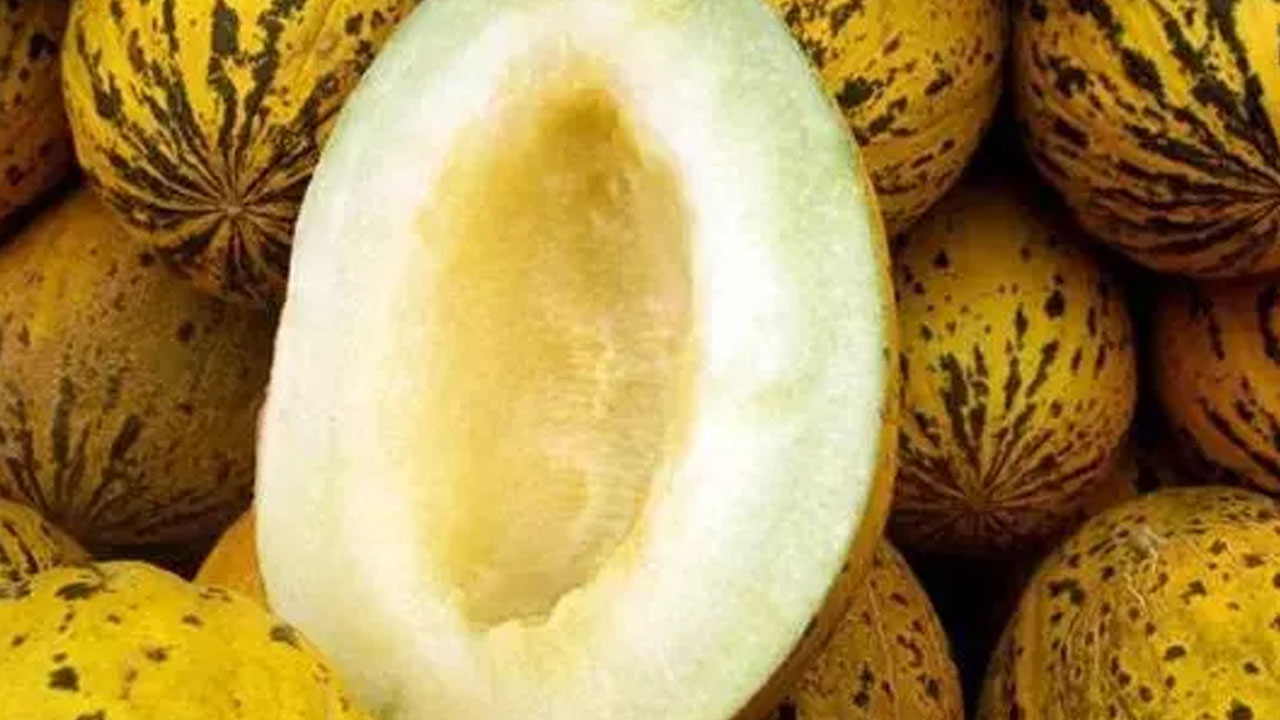 Foto - Doğal tansiyon ilacı...