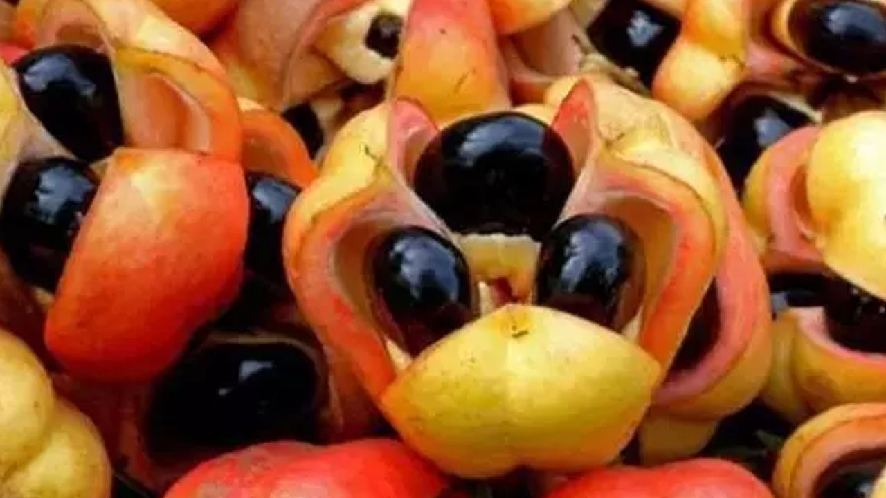 Foto - Doğal tansiyon ilacı gibi meyve: Damar genişleten tek meyve!