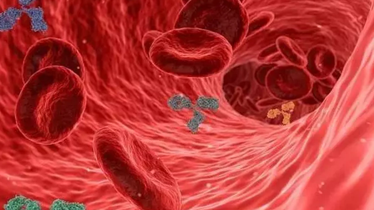 Foto - Doğal tansiyon ilacı gibi meyve: Damar genişleten tek meyve!