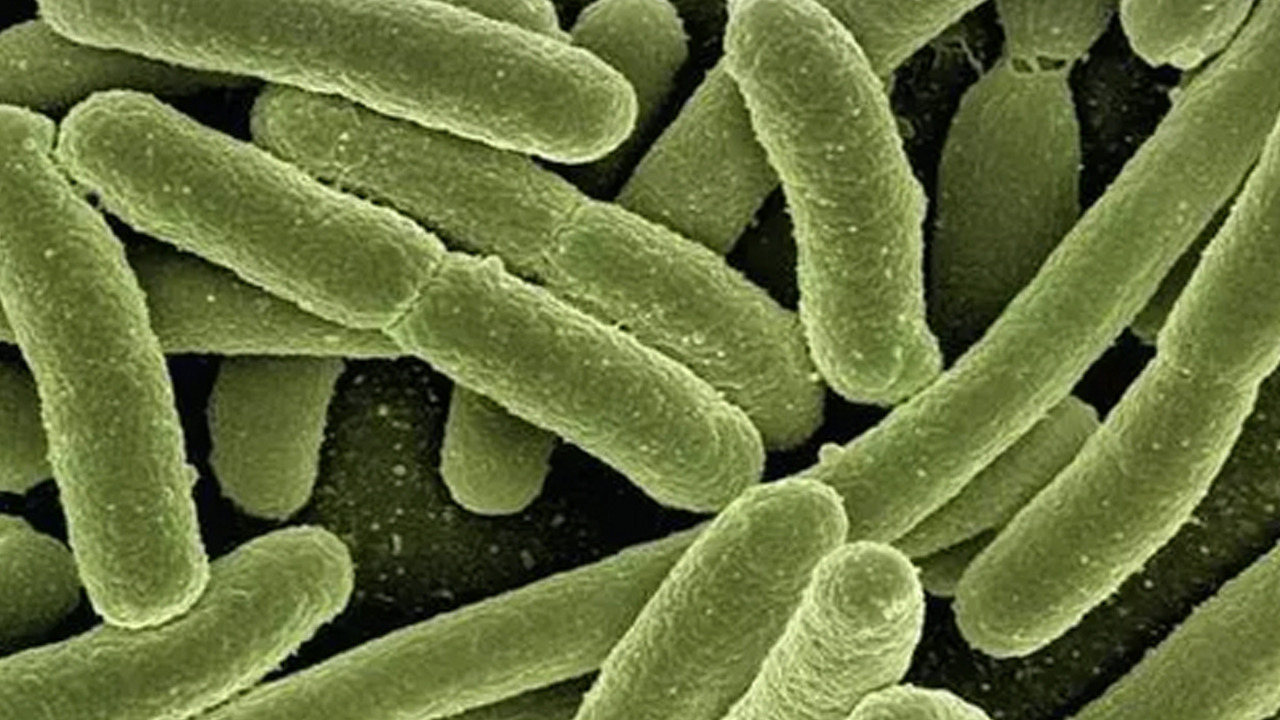 Doğal tansiyon ilacı gibi meyve: Damar genişleten tek meyve!