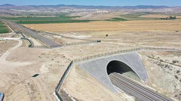 Foto - Doğal yaşamın umudu ekolojik köprüler