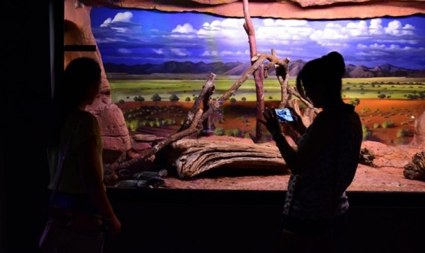 Doğanın gizemli canlıları