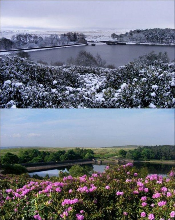 Foto - Doğanın iki farklı yüzü