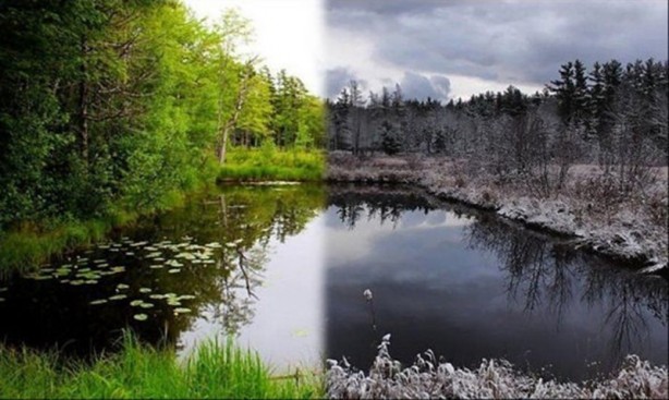 Foto - Doğanın iki farklı yüzü